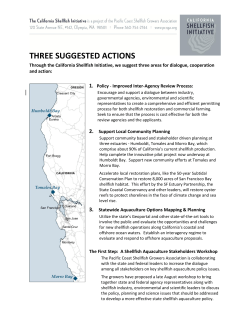 three suggested actions