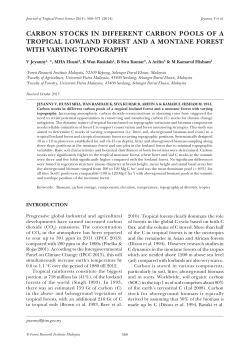 carbon stocks in different carbon pools of a tropical lowland