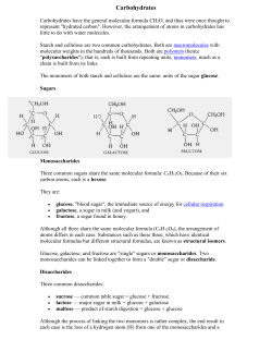 The monomers of both starch and cellulose are the same: units of