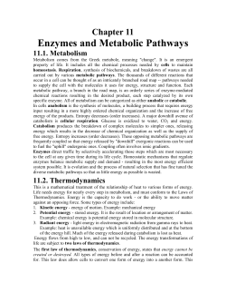 Enzymes and Metabolic Pathways