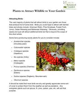 Plants to Attract Wildlife to Your Garden