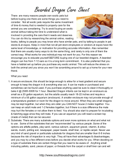 Bearded Dragon Care Sheet There are many reasons people own