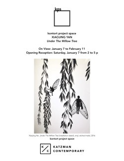 kontort project space XIAOJING YAN Under The Willow Tree On View