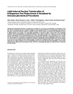 Light-Induced Nuclear Translocation of Endogenous