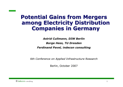 Potential Gains from Mergers among Electricity Distribution