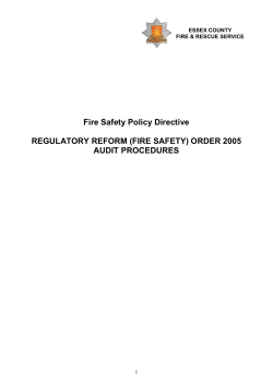 Table 1: RELATIVE RISK LEVEL MATRIX