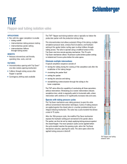 TIVF Flapper-Seal Tubing Isolation Valve