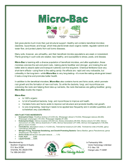 Soil gives plants much more than just structural