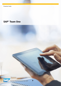 SAP&reg; Team One