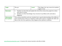 GCSE worksheet on the function of the eye