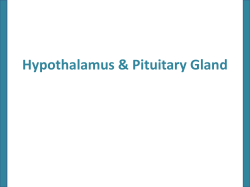 Physiology of the Anterior Pituitary Gland