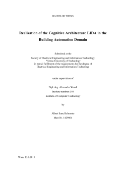 Realization of the Cognitive Architecture LIDA in the