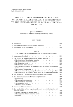 the positively phototactic reaction of daphnia magna straus