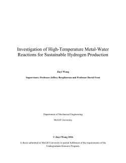 Investigation of High-Temperature Metal-Water