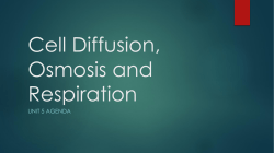 Cell Diffusion, Osmosis and Respiration