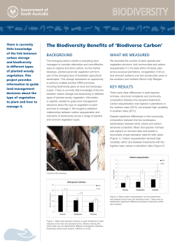 The Biodiversity Benefits of `Biodiverse Carbon`