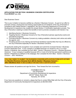 APPLICATION FOR SECTION 3 BUSINESS