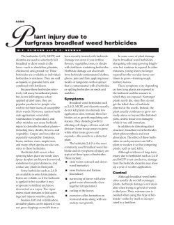 Plant Injury Due to Turfgrass Broadleaf Weed Herbicides (A3286)