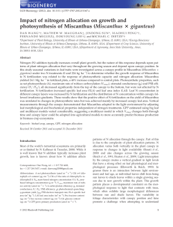 Impact of nitrogen allocation on growth and