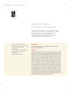 Molecular Motors: A Theorist`s Perspective