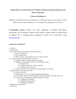 Tumor stem cell in hepatocellular carcinoma