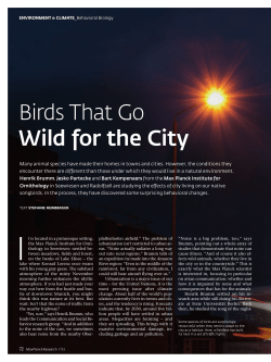 Birds That Go Wild for the City - Max-Planck