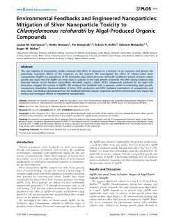 Chlamydomonas reinhardtii by Algal