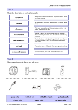 Teachit Specialised cells
