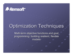 Optimization Techniques