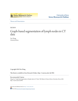 Graph-based segmentation of lymph nodes in CT data