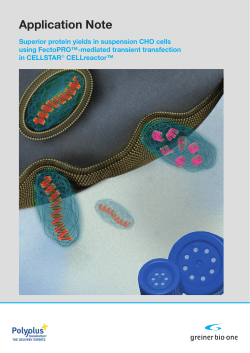 Application Note - Superior protein yields in suspension CHO cells