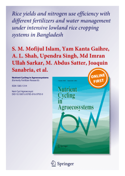 Rice yields and nitrogen use efficiency with different fertilizers and