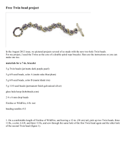 Free Twin bead project