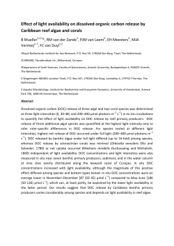 Effect of light availability on dissolved organic carbon release by