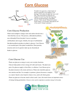 Corn Glucose Production Corn Glucose Use