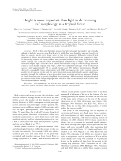 Height is more important than light in determining leaf morphology in
