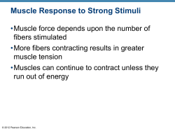 Muscle Response to Strong Stimuli