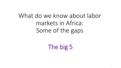 A Comparative Look at Africa`s Industrial Labor Costs