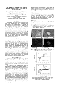ELECTROCHEMICAL PROPERTIES OF IRON