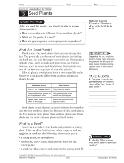 untitled - American Academy