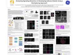 Analyzing Signaling Dynamics in Developing Salivary Glands Using