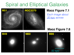 Maoz Figure 7.1 Maoz Figure 7.8