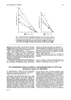 Low concentrations of glucose precipitate a rapid dephosphorylation