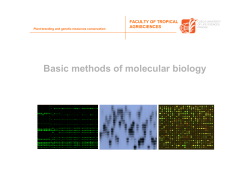 Basic methods of molecular biology