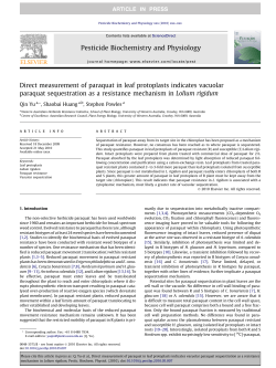 Direct measurement of paraquat in leaf protoplasts indicates