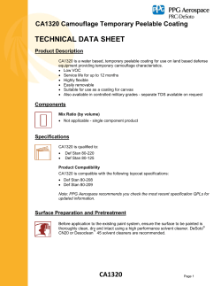 CA1320 Camouflage Temporary Peelable Coating