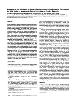 Epitopes on the f Subunit of Human Muscle Acetylcholine