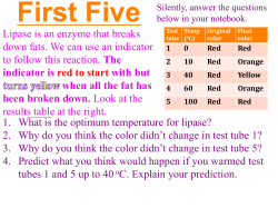 Intro to Enzymes