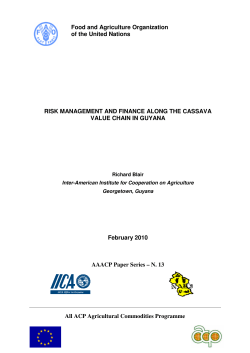 Risk Management and Finanace Along the Cassava Value