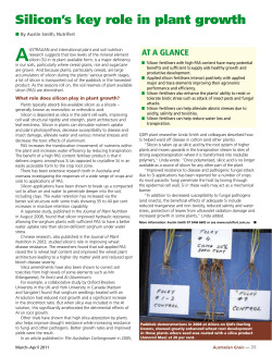 Silicon`s key role in plant growth